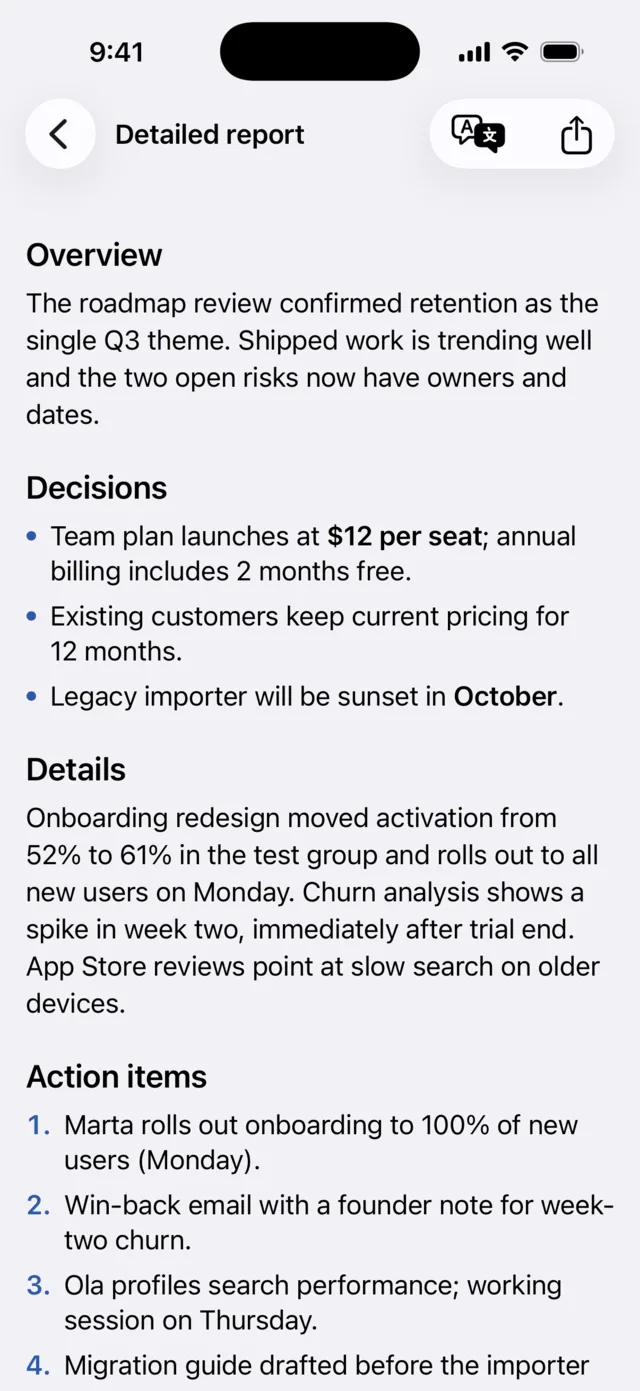 Detailed report with overview, decisions, details and action items sections